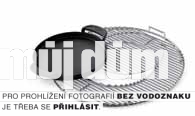 Obrázek z galerie