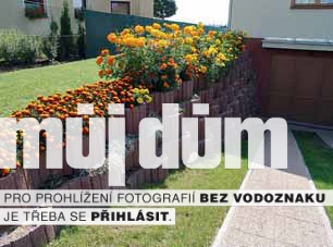 Obrázek z galerie