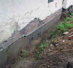 Obrázek z galerie