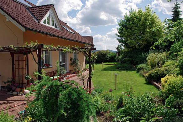 Obrázek z galerie