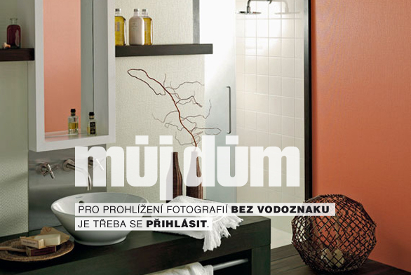 Obrázek z galerie