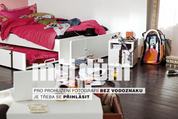 Obrázek z galerie