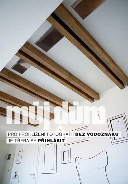 Obrázek z galerie