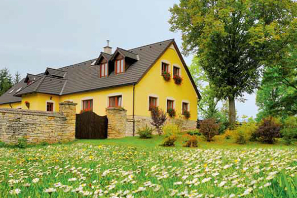 Obrázek z galerie