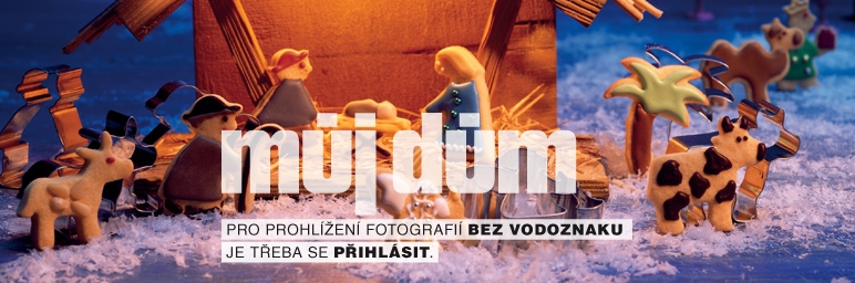 Obrázek z galerie