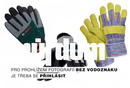 Obrázek z galerie