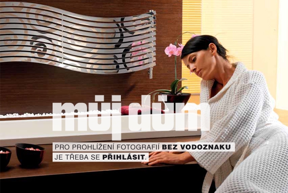 Obrázek z galerie