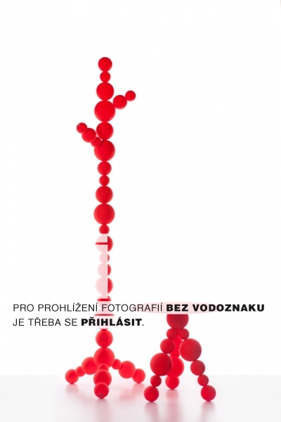 Obrázek z galerie