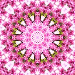 Kobereček Grund, mandala Kobereček Grund, mandala