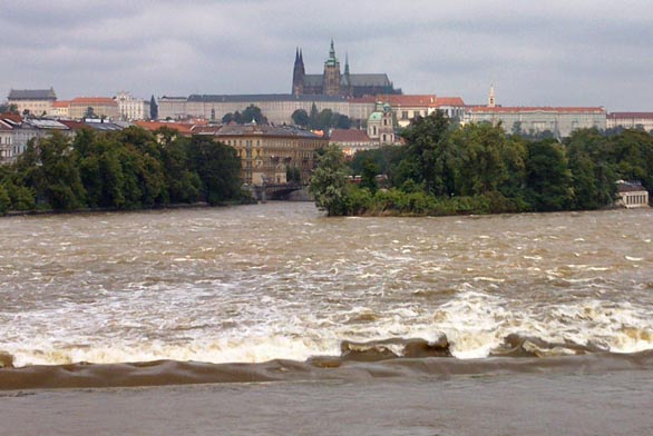 Obrázek z galerie