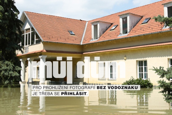 Obrázek z galerie