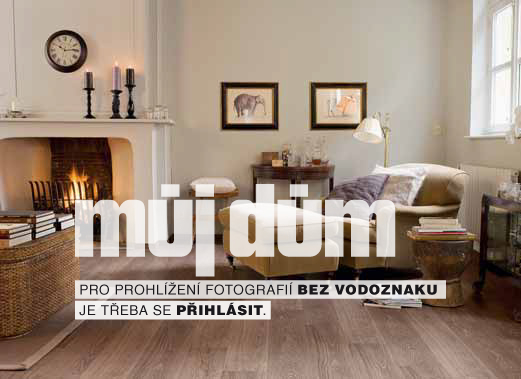 Obrázek z galerie