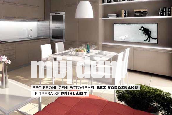 Obrázek z galerie