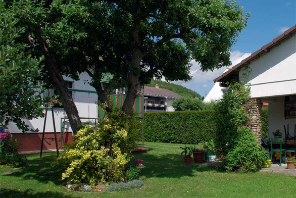 Obrázek z galerie