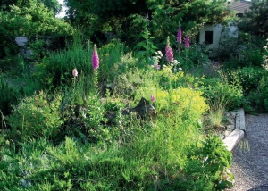 Agastache ve spodním patře velkorysé bylinkové spirály. Stačí mít hromadu kamenů, cihel nebo kusů betonu a z každého je stavitel. Agastache ve spodním patře velkorysé bylinkové spirály. Stačí mít hromadu kamenů, cihel nebo kusů betonu a z každého je stavitel.