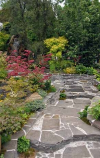 Různobarevné kultivary japonských javorů (Acer palmatum, A. japonicum) tvoří základ této inspirativní zahrady. Různobarevné kultivary japonských javorů (Acer palmatum, A. japonicum) tvoří základ této inspirativní zahrady.
