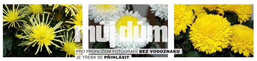 Obrázek z galerie