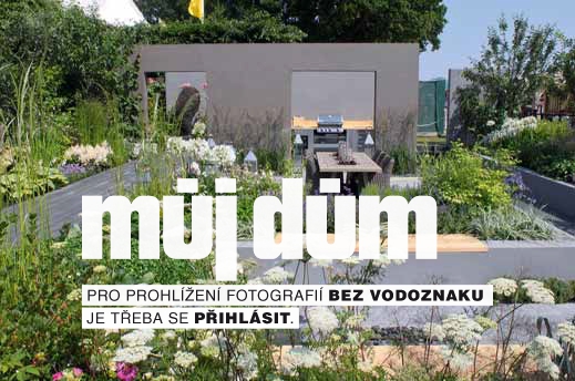 Obrázek z galerie