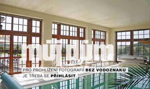 Obrázek z galerie
