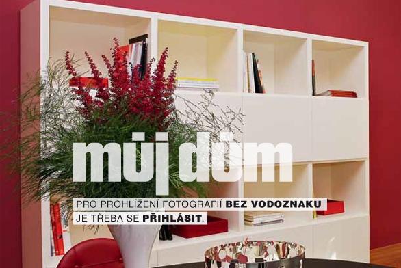 Obrázek z galerie