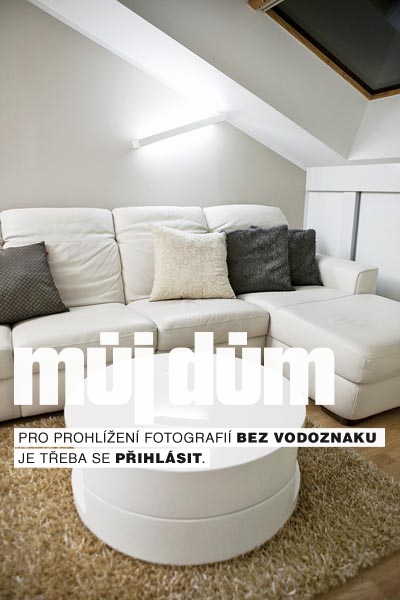 Obrázek z galerie