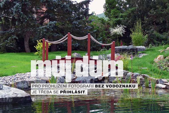 Obrázek z galerie