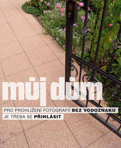 Obrázek z galerie