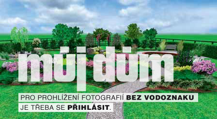 Obrázek z galerie