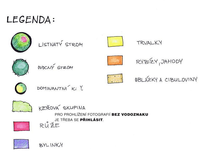 Obrázek z galerie