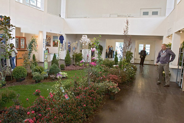 Obrázek z galerie