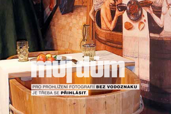 Obrázek z galerie
