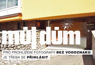 Obrázek z galerie