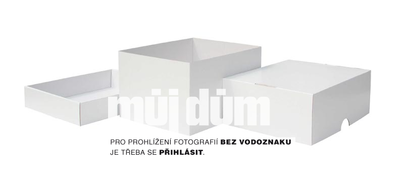Obrázek z galerie