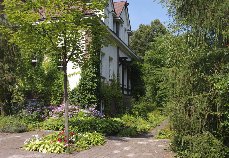 Obrázek z galerie