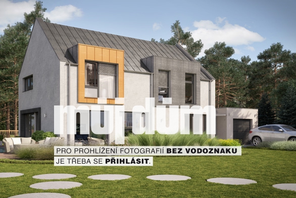 Obrázek z galerie
