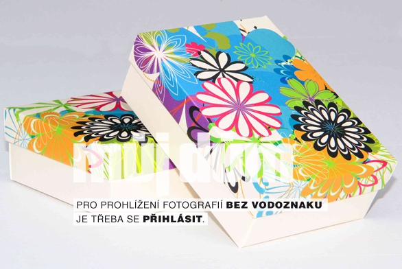 Obrázek z galerie