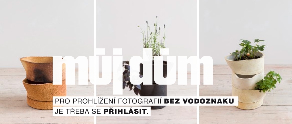 Obrázek z galerie