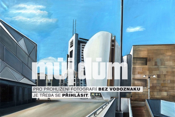 Obrázek z galerie
