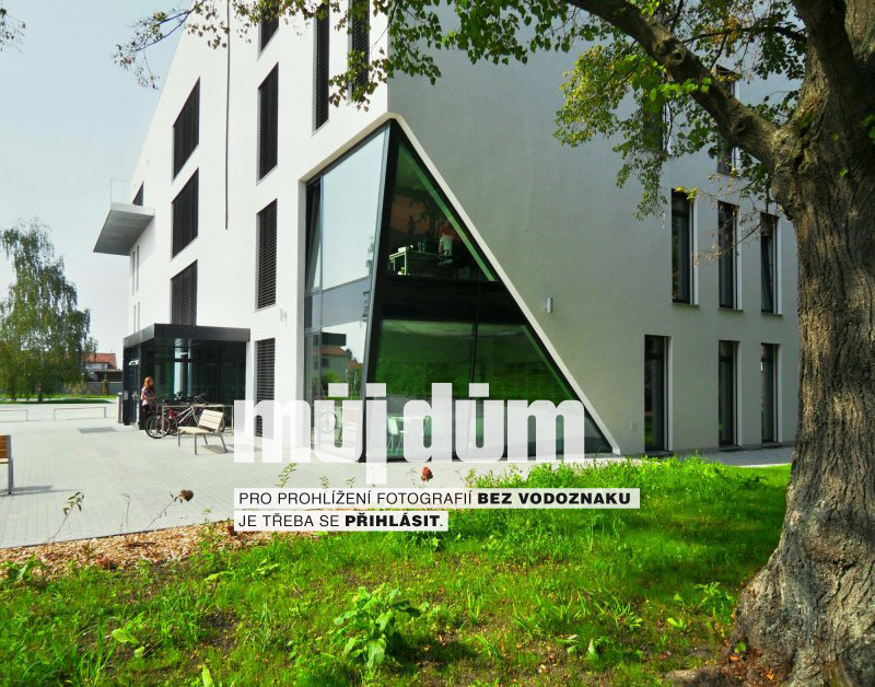 Obrázek z galerie