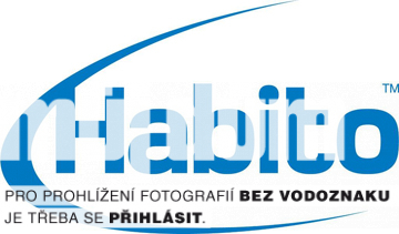 Obrázek z galerie