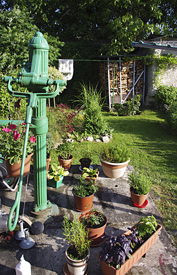 Obrázek z galerie