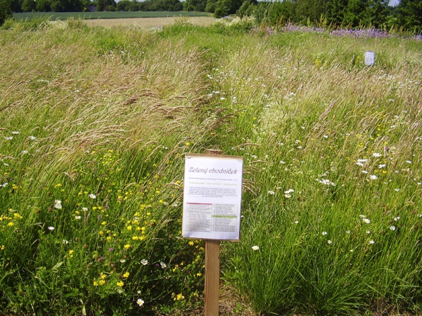 Mezi nejoblíbenější směsi semen firmy Planta Naturalis v Markvarticích patří směs zvaná Zelený chodníček, která je vhodná pro častěji sešlapávané plochy. Obsahuje přes 60 druhů semen. Mezi nejoblíbenější směsi semen firmy Planta Naturalis v Markvarticích patří směs zvaná Zelený chodníček, která je vhodná pro častěji sešlapávané plochy. Obsahuje přes 60 druhů semen.