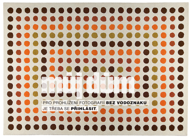 Obrázek z galerie