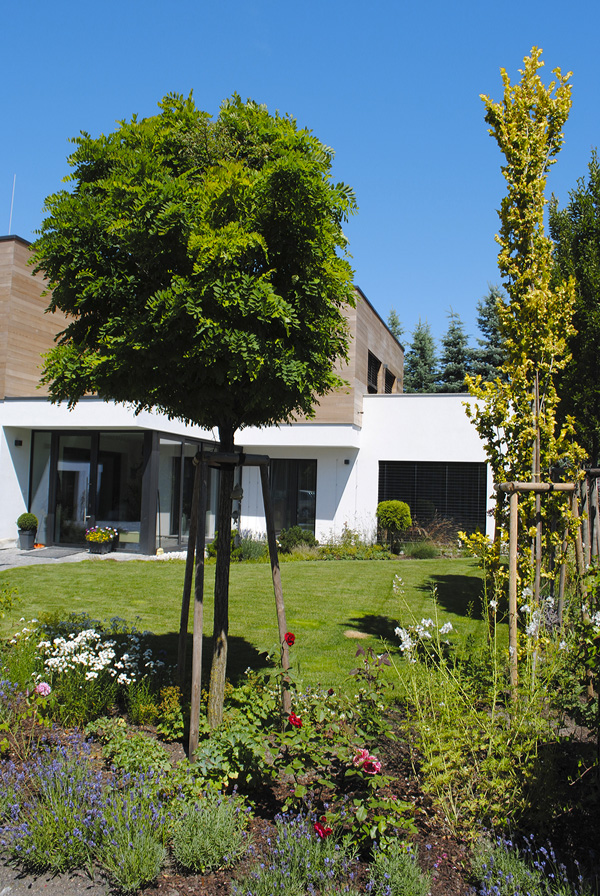 Obrázek z galerie