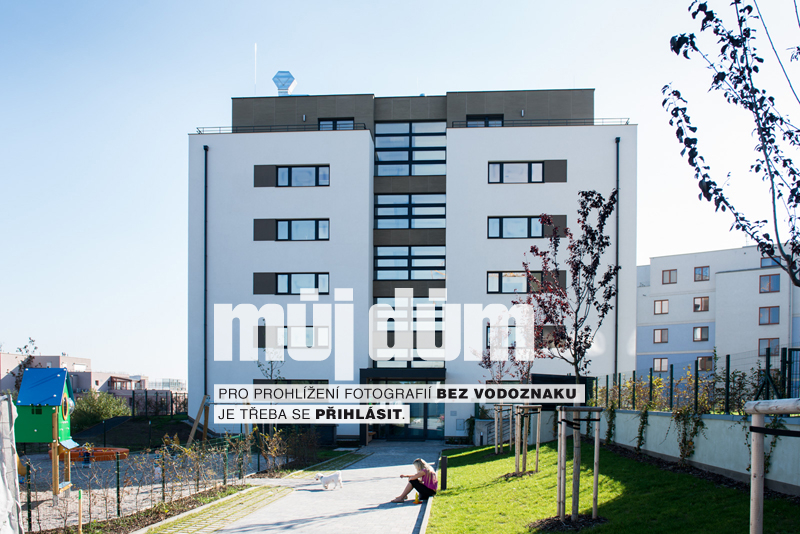 Obrázek z galerie