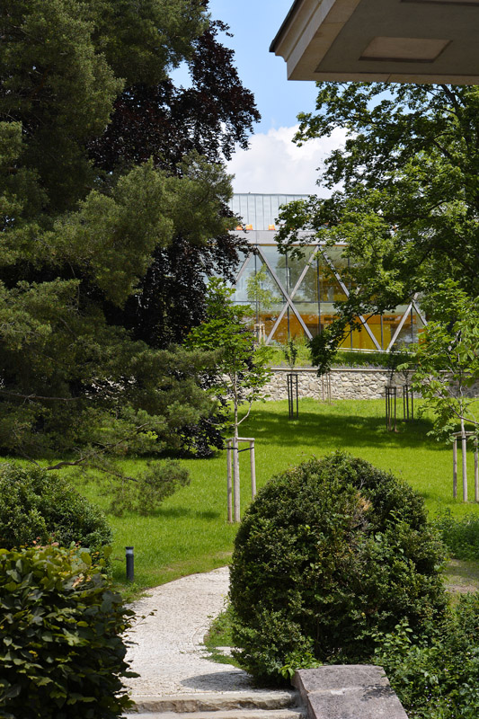 Obrázek z galerie
