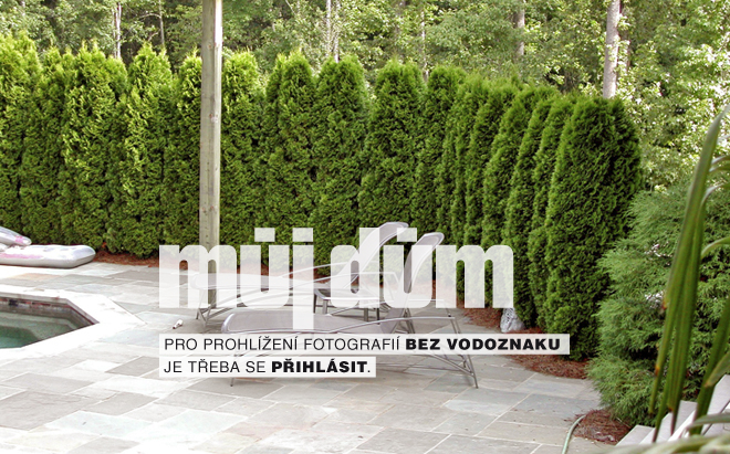 Obrázek z galerie