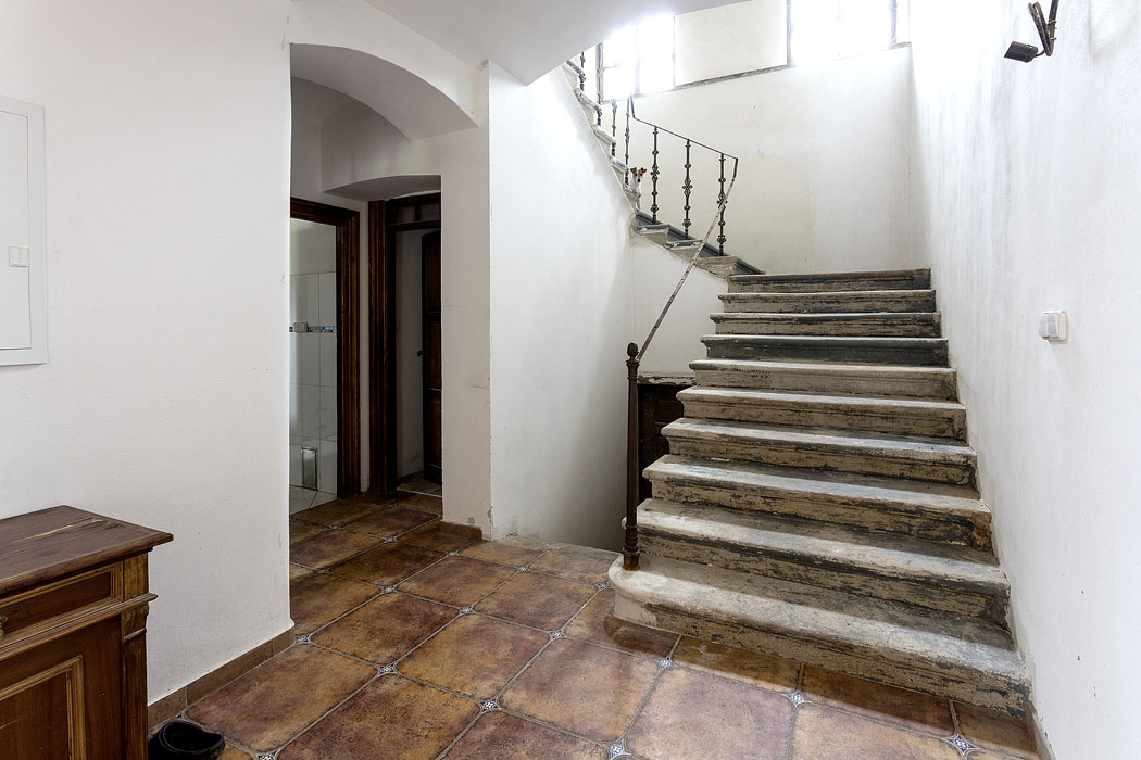 Obrázek z galerie