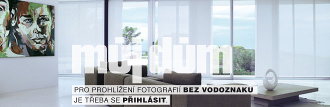 Obrázek z galerie