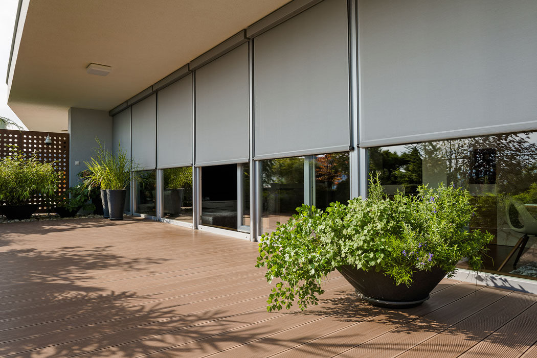 Obrázek z galerie